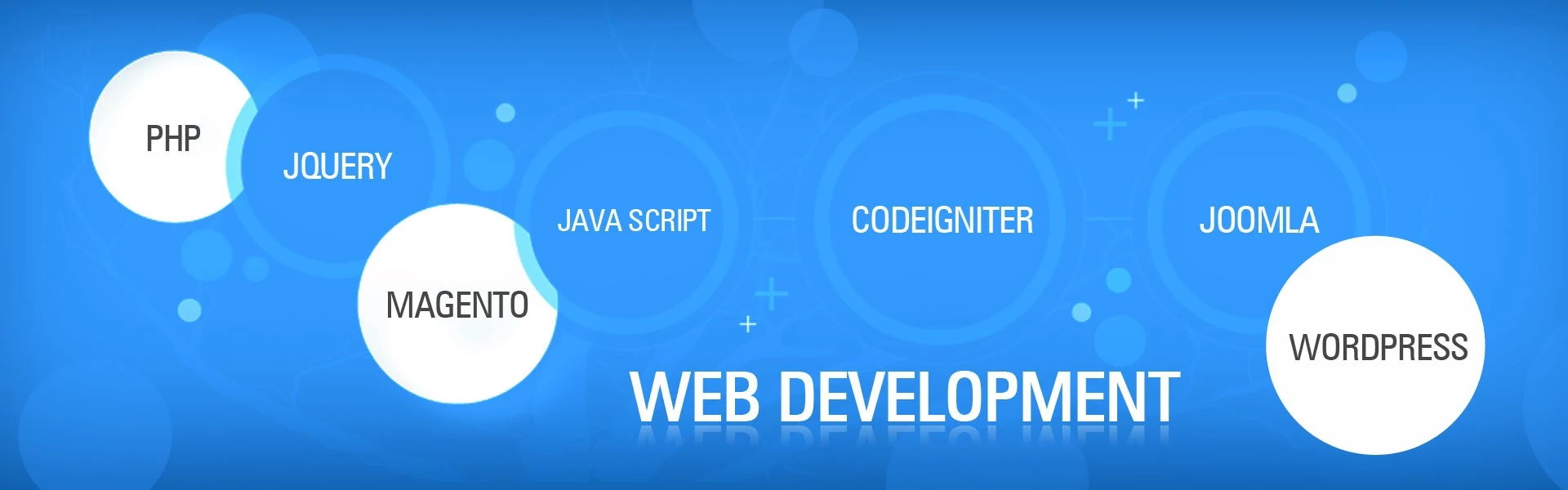 Web Development